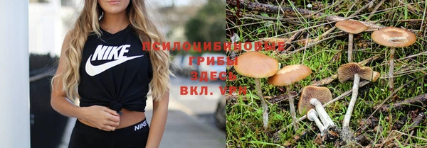соль курить ск Алзамай