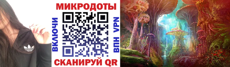 Галлюциногенные грибы ЛСД  Новая Ладога 